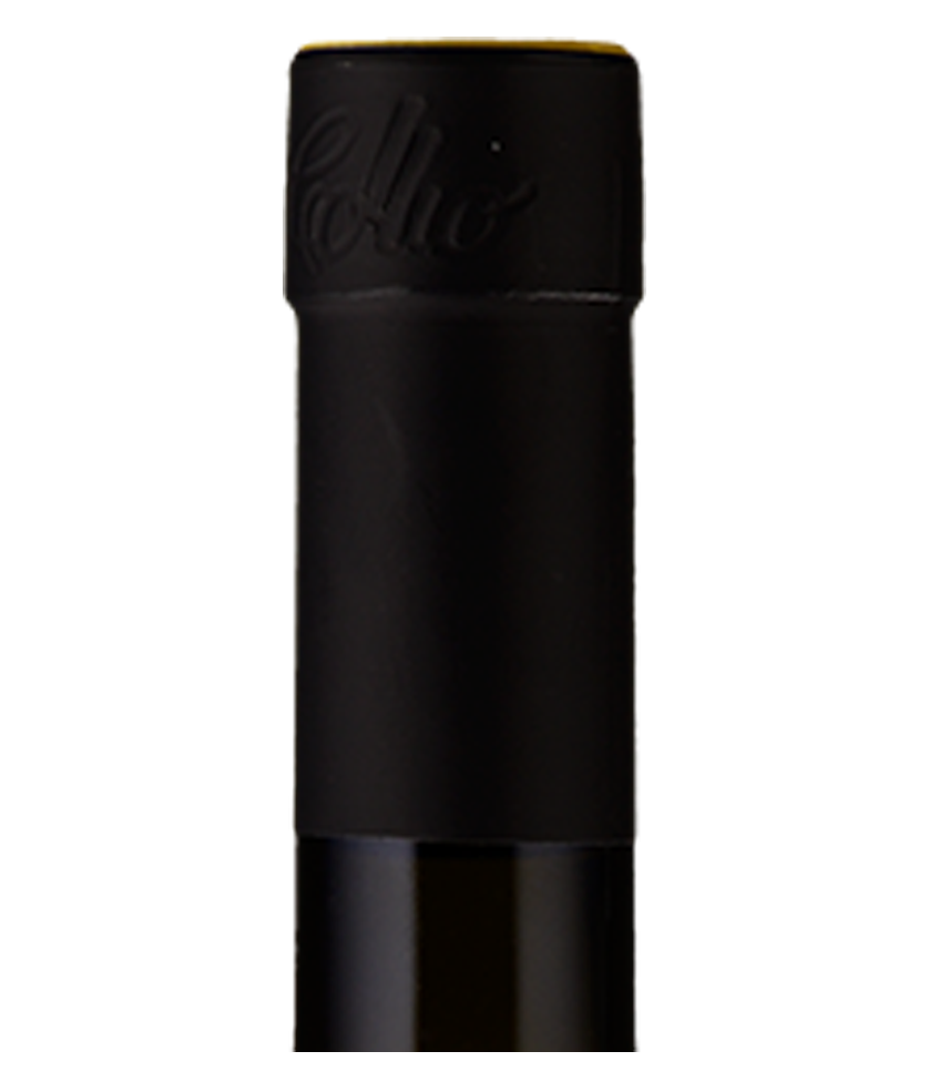 Muzic_Sauvignon_Hals